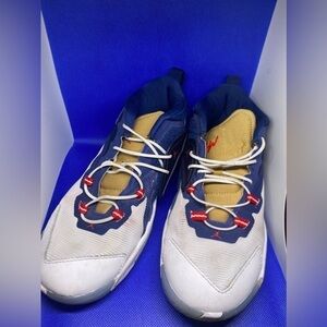 Nike Jordan Zion 1 GS 'USA' DC2024-401 Blue Void White Metallic Gold